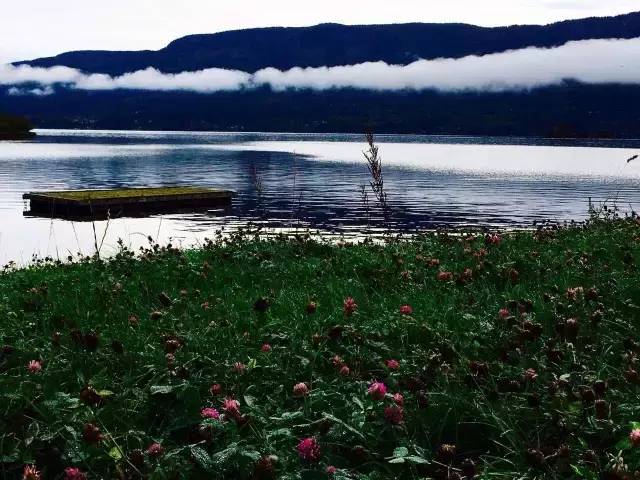 33.webp.jpg 神马影院