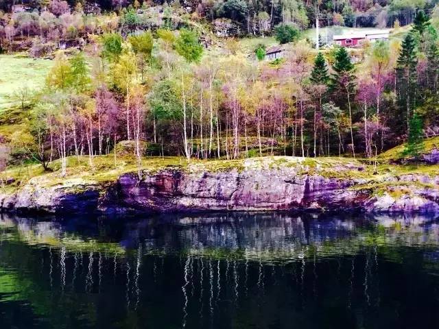 34.webp.jpg 神马影院