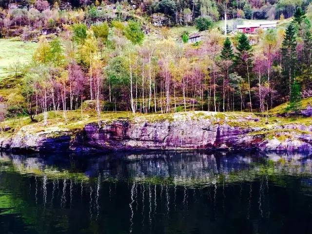 32.webp.jpg 神马影院