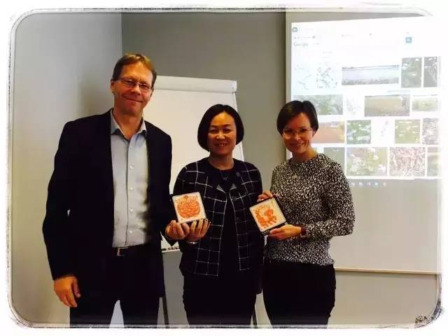 4.webp.jpg 神马影院