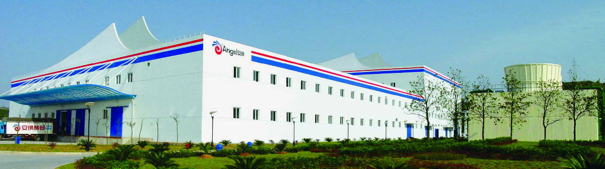 584828141973579008.jpg 神马影院