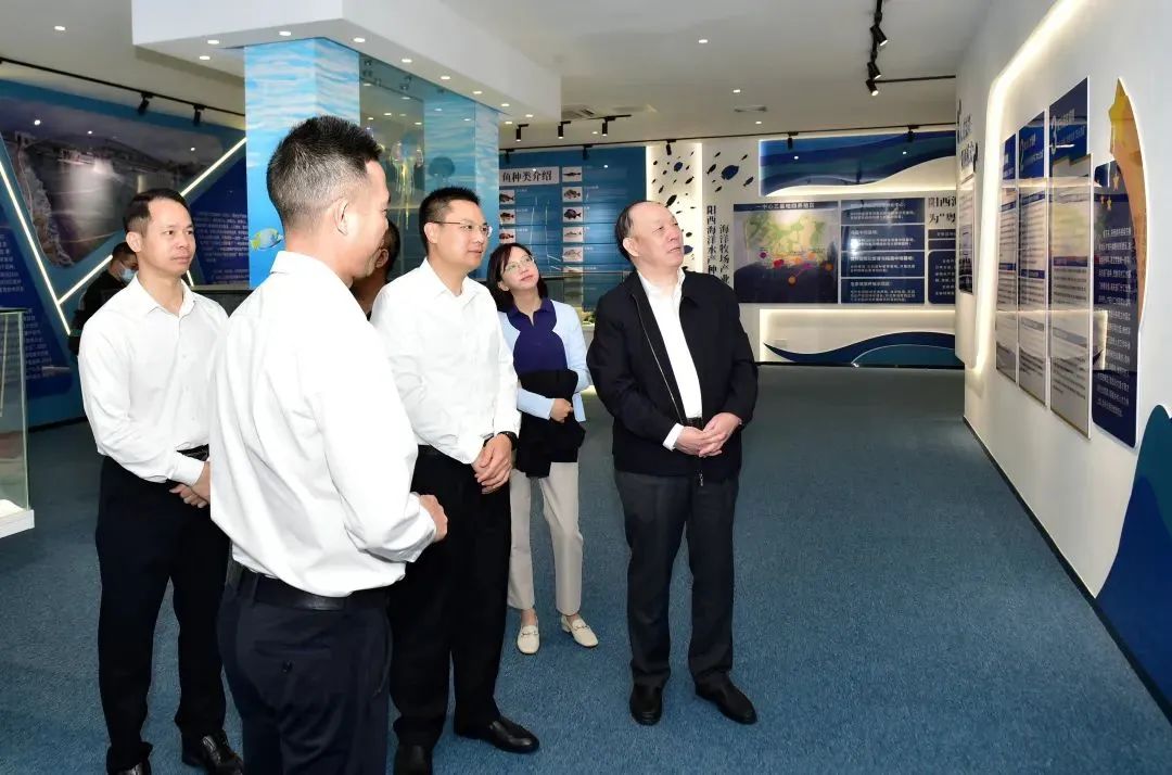 会长2.jpg 神马影院