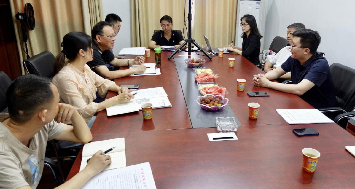 公司6.png 神马影院